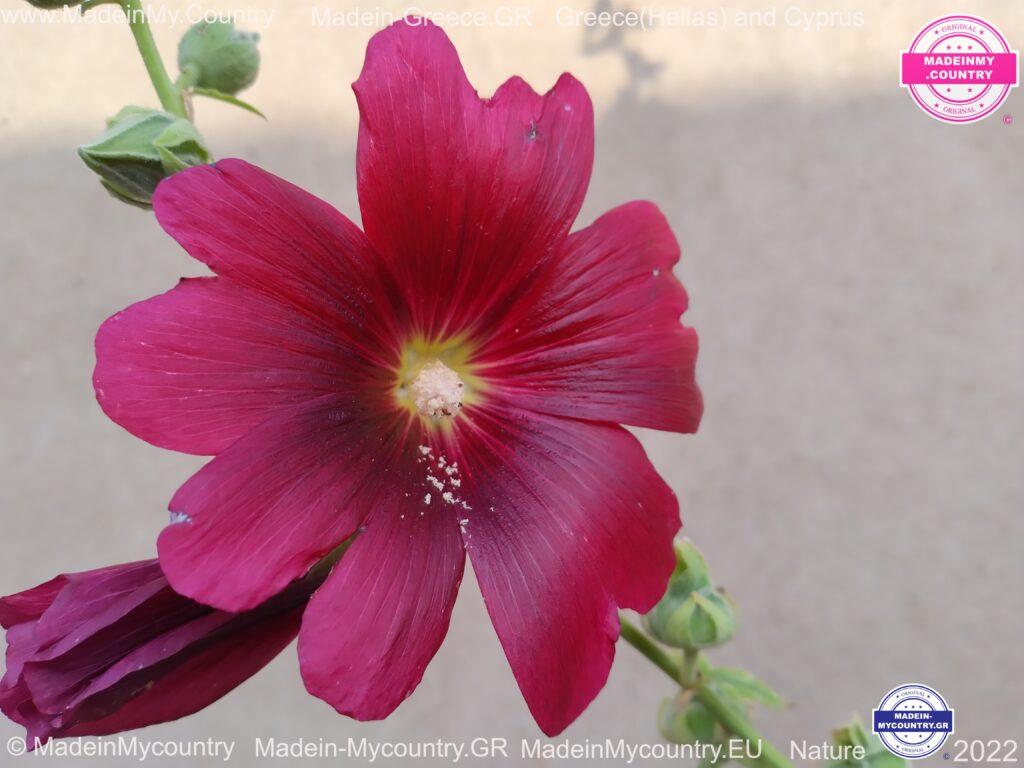 MadeinMycountry MadeinMycountryEU Nature