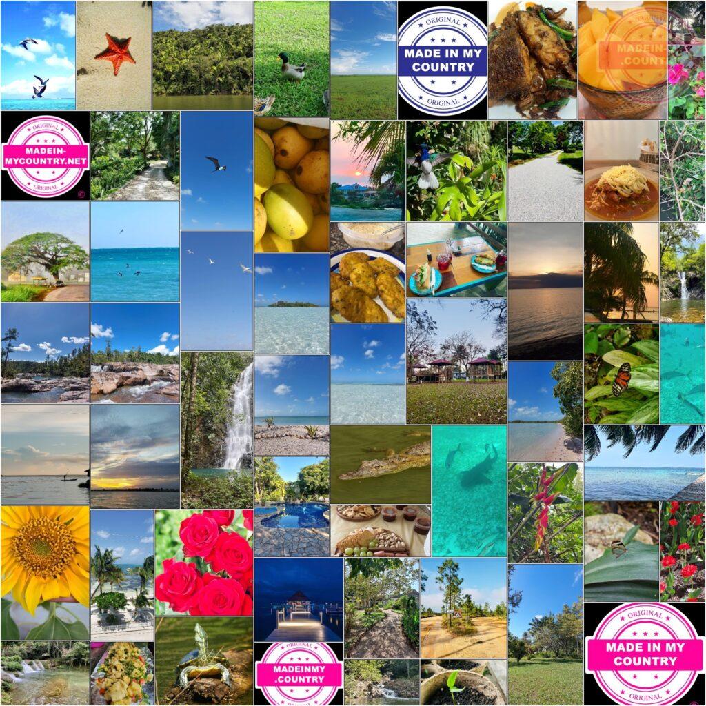 MadeinMycountry is a global platform that celebrates and supports local history, culture, art, and nature conservation efforts. For two decades, we have been sponsoring local museums, cultural organizations, travel destinations, historical sites and various cultural events around the world.